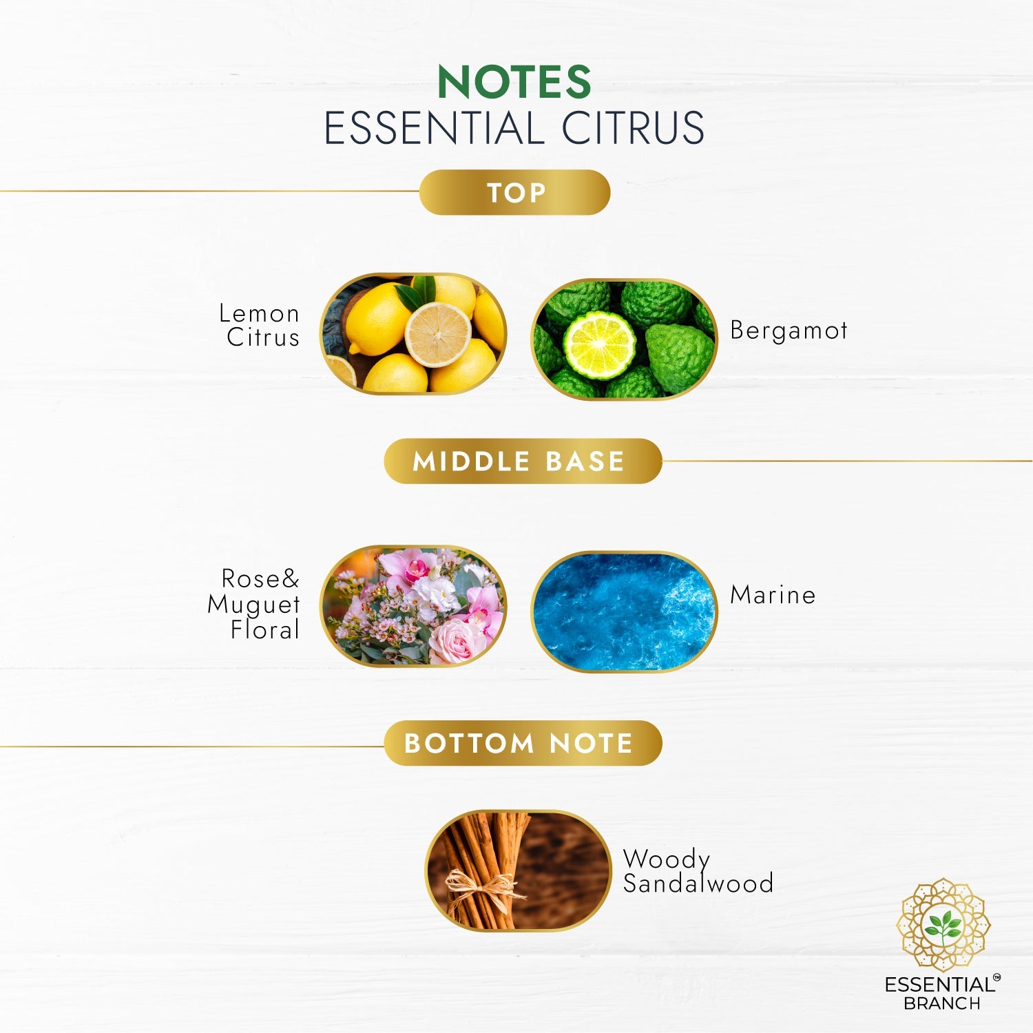 Essential Citrus - Aromatherapy Natural Scents