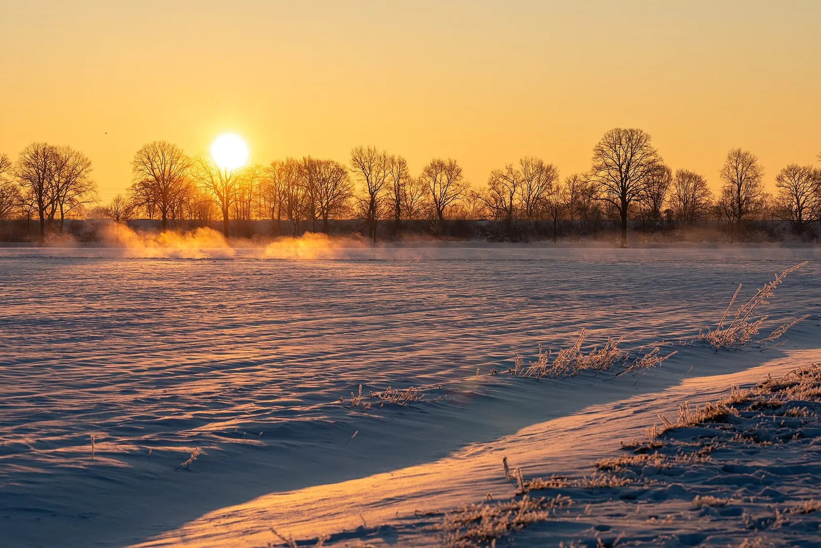 A low winter sun just above a line of bare trees, casting golden light across a wind-rippled snowy field.