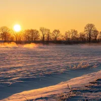A low winter sun just above a line of bare trees, casting golden light across a wind-rippled snowy field.