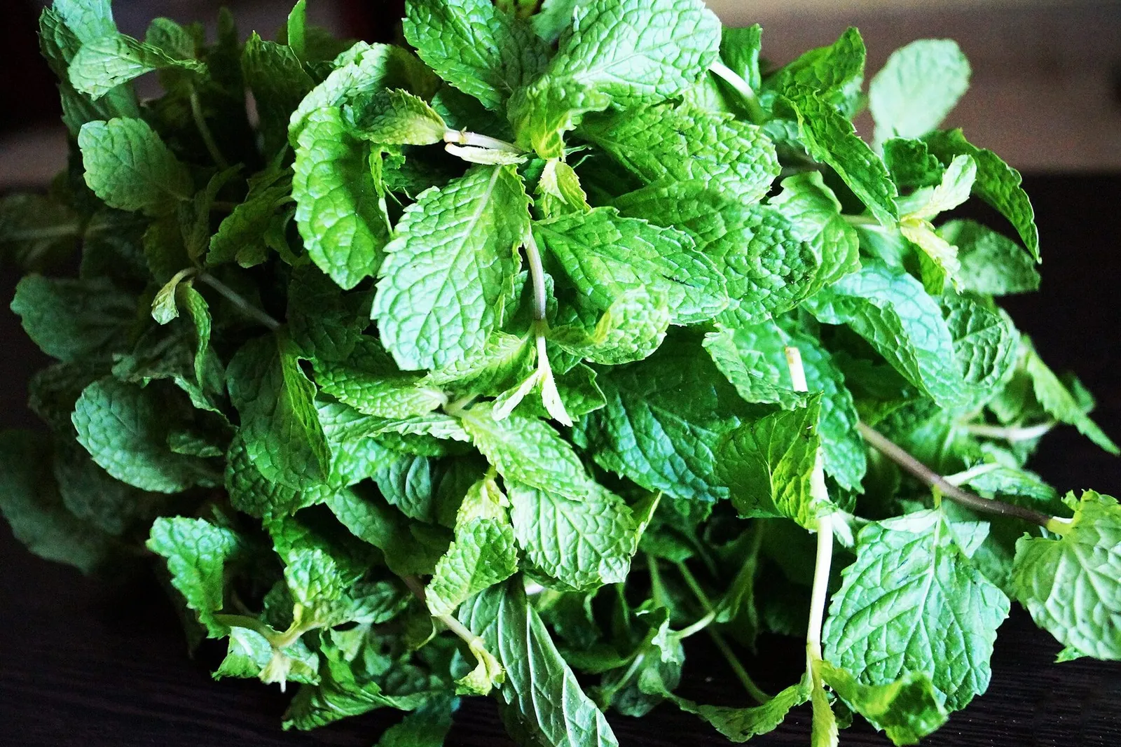 A generous bunch of fresh mint with bright, crinkled leaves.