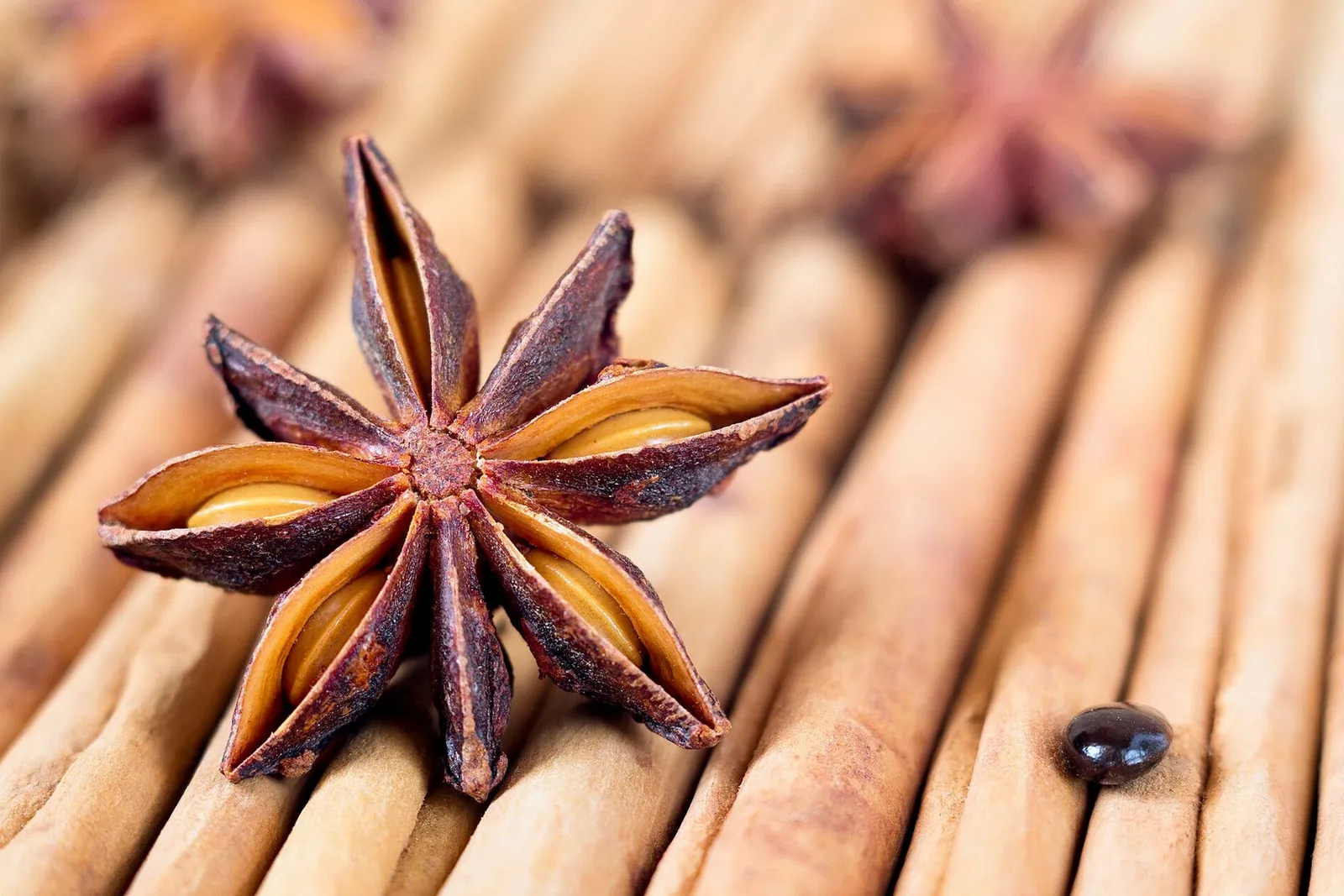 A star anise pod resting on a row of cinnamon sticks in warm light.