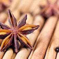 A star anise pod resting on a row of cinnamon sticks in warm light.