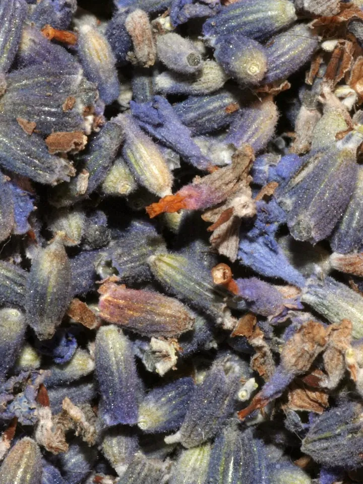A close-up of dried lavender buds in muted purple and grey.
