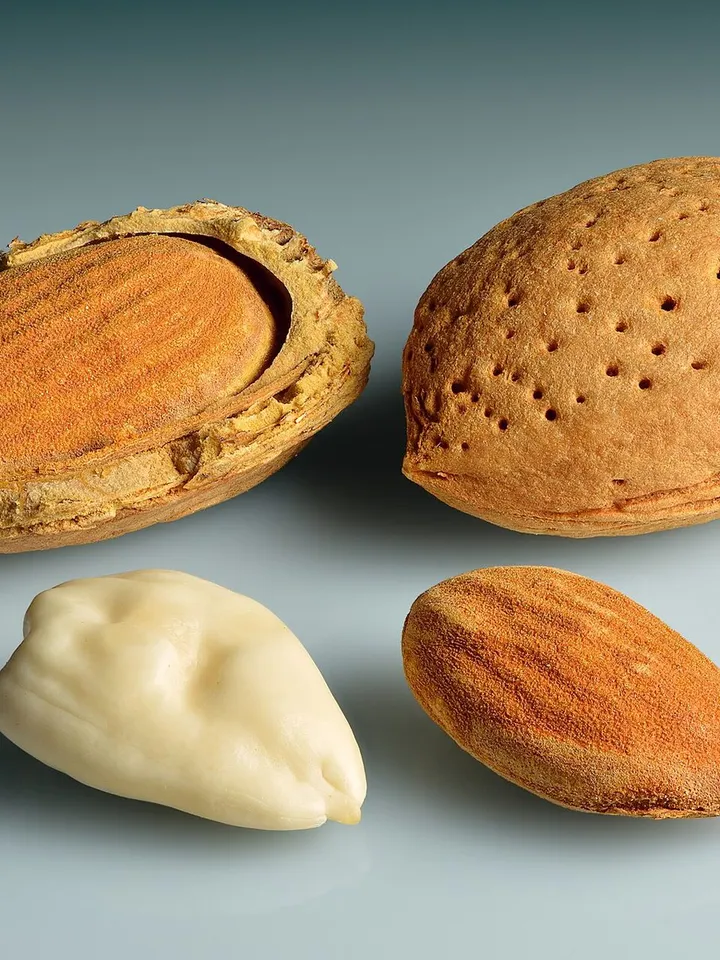 Almonds shown four ways: in the shell, with the shell cracked open, shelled, and blanched
