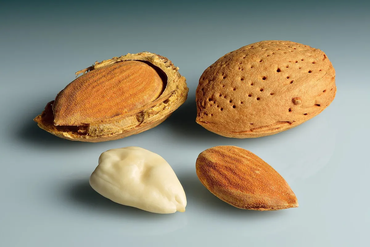 Almonds shown four ways: in the shell, with the shell cracked open, shelled, and blanched
