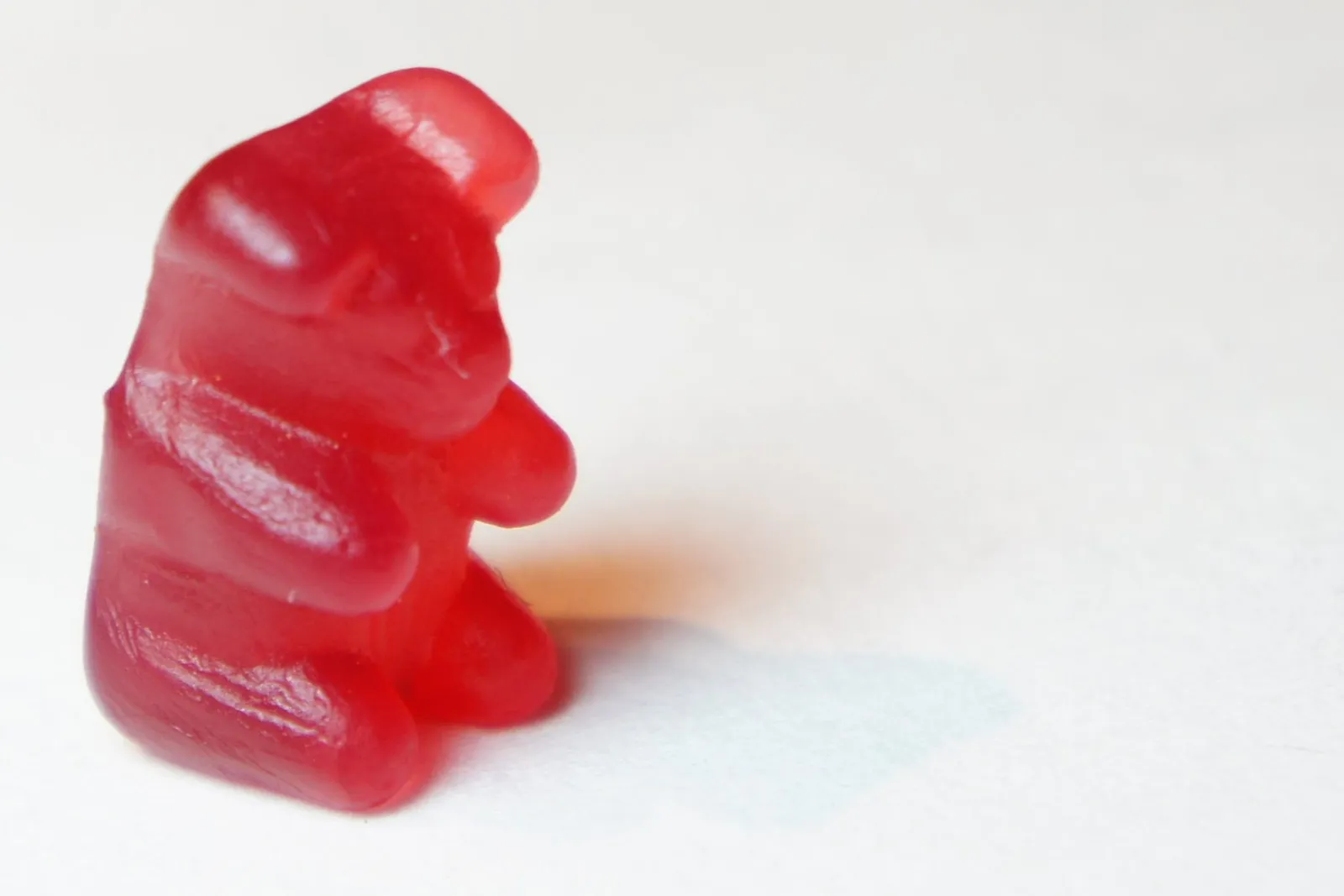 A single red gummy bear standing on a plain white surface