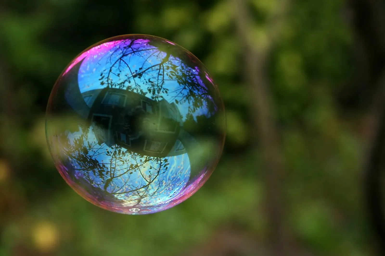 A single soap bubble floating against a soft green background, its surface reflecting trees