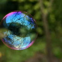 A single soap bubble floating against a soft green background, its surface reflecting trees.