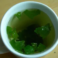 A pale mug of lemon balm tea with fresh green leaves floating in it, on a light wooden table.