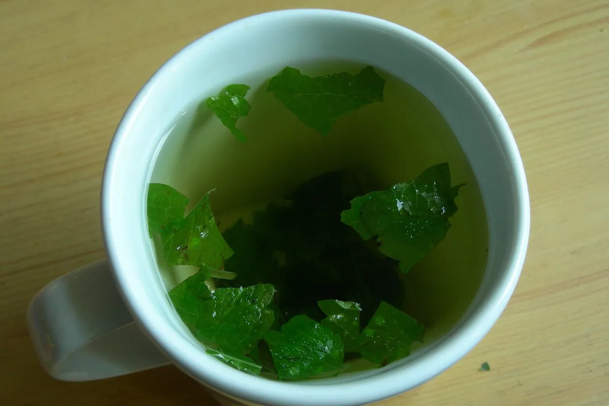 A pale mug of lemon balm tea with fresh green leaves floating in it, on a light wooden table.