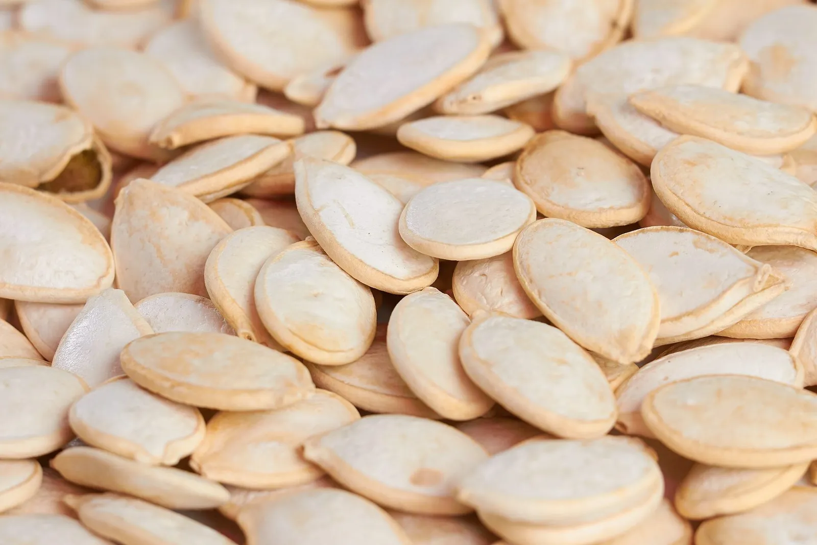 A close-up of cream-coloured pumpkin seeds piled together