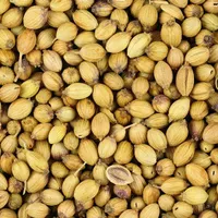 A close view of many round, ridged, pale tan coriander seeds filling the frame.