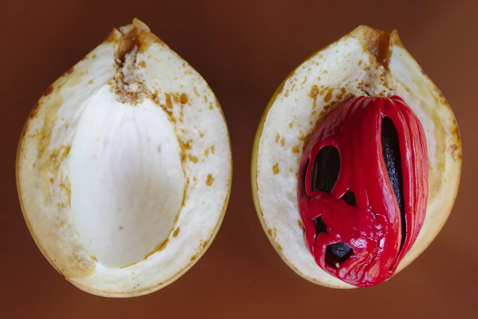 A nutmeg fruit split in half, one side showing the dark seed wrapped in bright red mace.