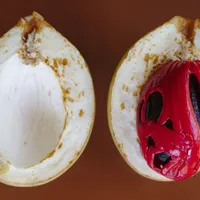 A nutmeg fruit split in half, one side showing the dark seed wrapped in bright red mace.