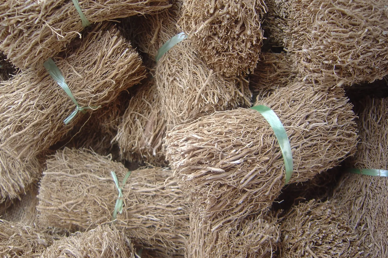 Bundles of dried, fibrous vetiver roots tied together and stacked for sale.