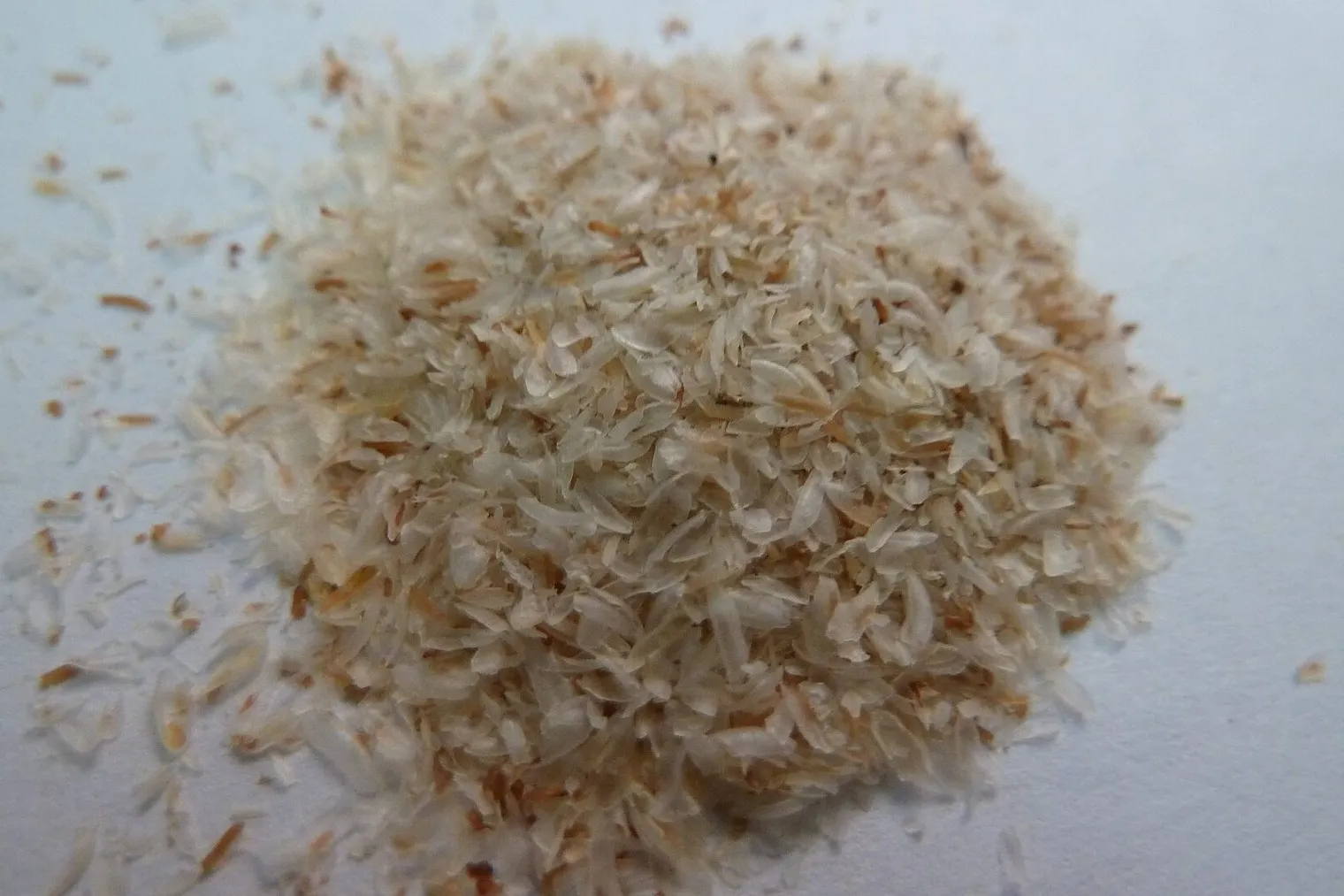 A small pile of pale, flaky psyllium seed husks on a light surface