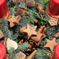 Fir sprigs, pine cones, cinnamon sticks, star anise and dried apple slices arranged between plain red candles on an Advent wreath.