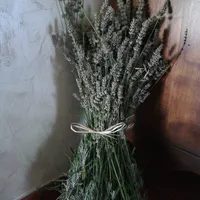 A tall bundle of dried lavender tied with string, standing in the corner of a room.
